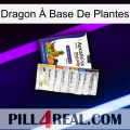 Dragon À Base De Plantes 11